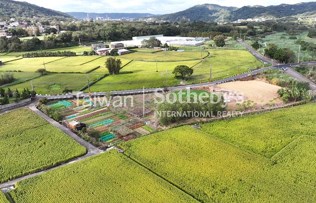 新埔黃金稻田超美農地1989坪現場實景